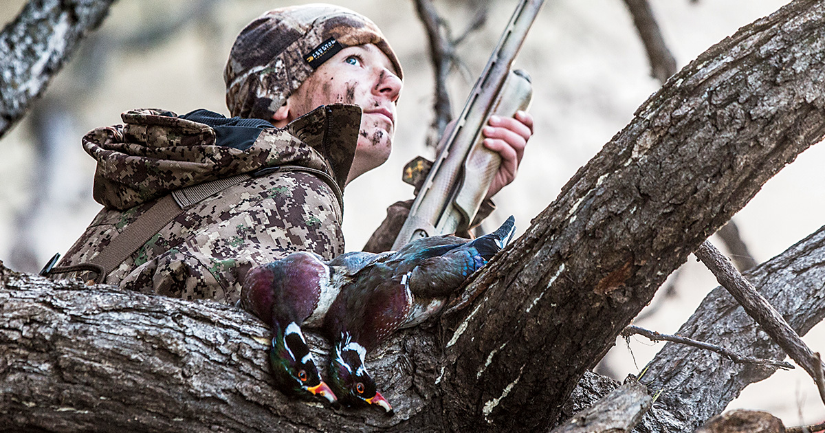 Wood Ducks: Play-By-Play